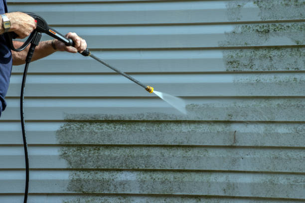 Best House Pressure Washing  in Junction City, KY